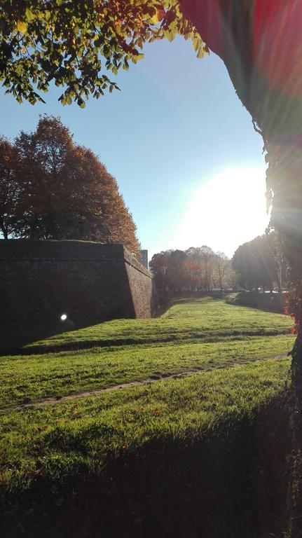 Robin'S Nest Villa Lucca Bagian luar foto